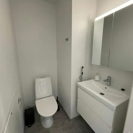 Spacious For 6 With Sauna אולו